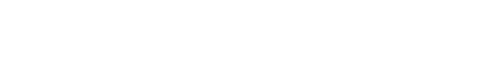 FLURUS Logo